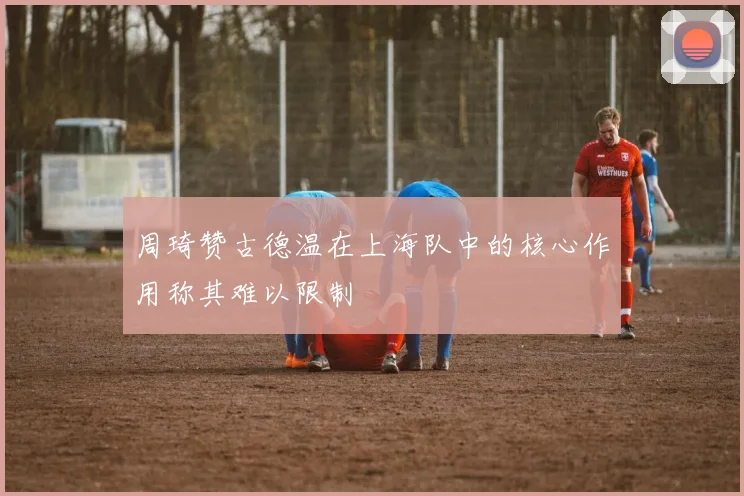 周琦赞古德温在上海队中的核心作用称其难以限制